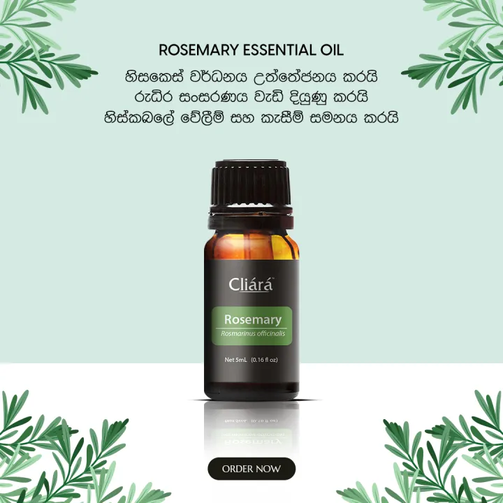 %20Cliara%20Rosemary%20Essential%20Oil%2010%20Ml%20-%20Image%202