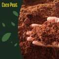 Cocopeat coconut dut(කොහුබත්)agriculture dust Fertilizer Organic /Agriculture/Fertilizer-1kg. 