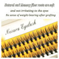 20D/30D Eyelash Clusters C/D curl Fan Eyelash extension 1 box/60 Bundles individual lashes Makeup tool for False eyelashes. 