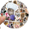 20/40pcs Cat Meme Stickers Cute Kitty Social Media Meme Stickers for Laptop Scrapbook Journal Kids Girls Boys Stickers. 