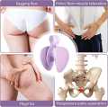 Pelvic Floor Muscle Trainer. 