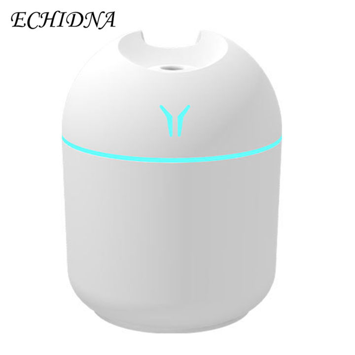 1 Set 250ML Air Humidifier USB Fine Mist Single Spray Nano Atomization 2 Modes High Capacity Mist Humidifier Home Supply