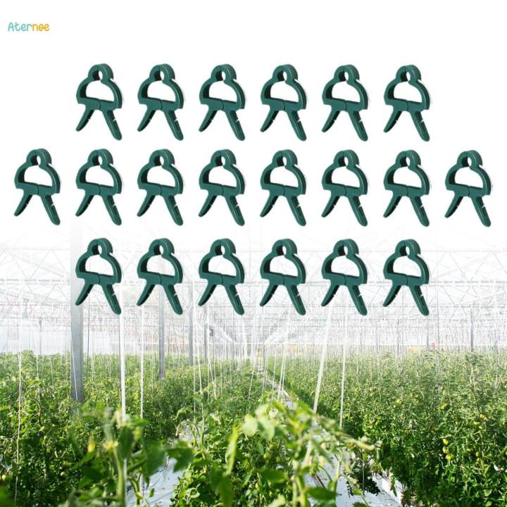 Trellis Clips For Roses 20x Plant Support Clips Trellis Clips for Climbing Plants Roses ...