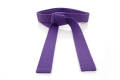 Double Wrap Solid Karate Belt - Purple. 
