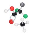 Organic Inorganic Chemistry Learning Tool Molecular Structure Model Kit Firm Intuitive Safe for Laboratory for Student Teacher. 