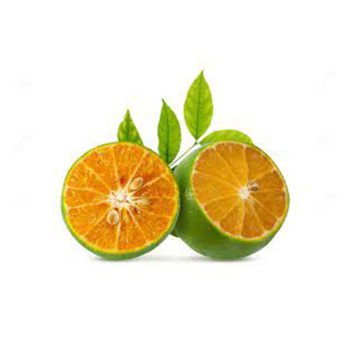 Calamansi%20fruit%20plant%20-%20Image%203