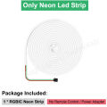 Smart Bluetooth RGBIC Neon Led Strip 5M 10M 12V Waterproof RGB IC Full Color Led Neon light Music Sync Bars Gaming Room Decor. 