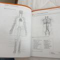 Ross & Wilson Anatomy and Physiology Colouring and Workbook，Anne Waugh MSc CertEd SRN RNT FHEA and Allison Grant BSc PhD RGN. 
