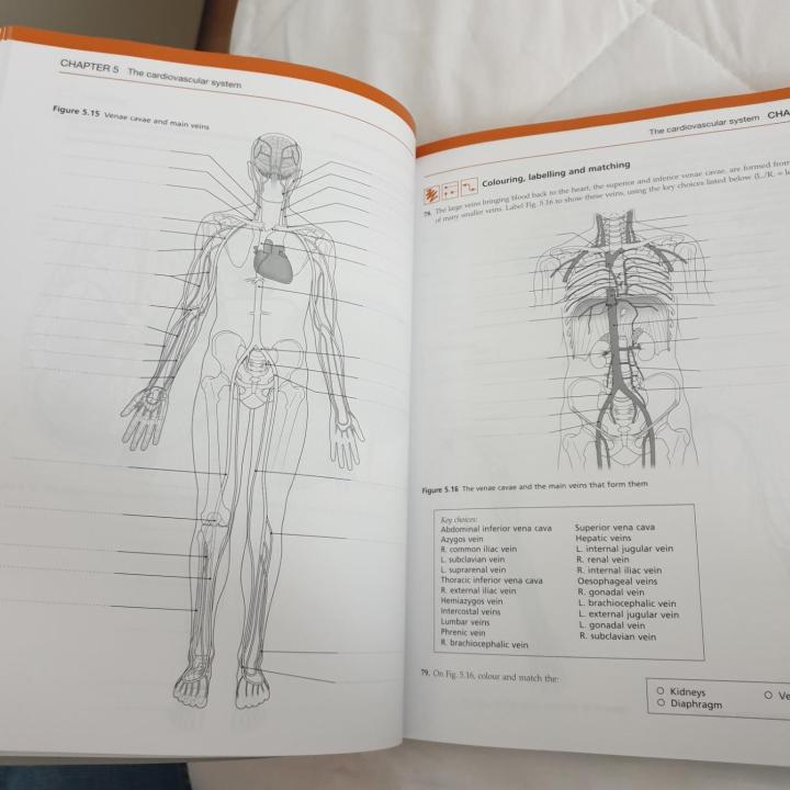 Ross%20&%20Wilson%20Anatomy%20and%20Physiology%20Colouring%20and%20Workbook%EF%BC%8CAnne%20Waugh%20MSc%20CertEd%20SRN%20RNT%20FHEA%20and%20Allison%20Grant%20BSc%20PhD%20RGN%20-%20Image%204