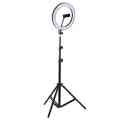 LED Ring Light 10″ With Tripod Stand, Tiktok Zoom Lights. 