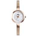 SKMEI Fashion Classic Stainless Steel Quartz Watch For Girls 1390. 