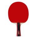 Table Tennis 2 Player Set - 01. 