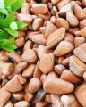 Organic Expanded Clay Pebbles Light Expanded Clay Aggregate, Natural Clay Pebbles for Hydroponic & Aquaponics Growing, Orchid Potting Mix, Dutch Buckets, Drainage. 
