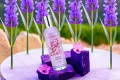 Evangeline Purple Sakura Eau De Parfum 100ml – Women’s Perfume. 