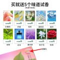 Automobile Aromatherapy Car Women's Long-Lasting Car Ointment Car Light Perfume Flower Lily Flavor Solid Fragrance. 