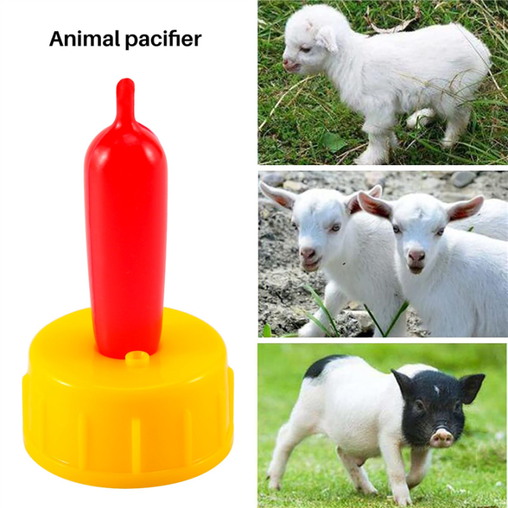 20%20Pieces%20Lamb%20Teat%20Feeder%20Bottle%20Topper%20Feeding%20Milk%20Drinking%20for%20Sheep%20Goat%20Pup%20Dog%20-%20Image%206