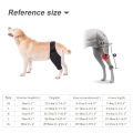Pet Dog Injury Knee Brace Leg Inflammation Pain Alleviate Leg Support Sheaths for Dogs Outdoor Walking Warm Accessories. 