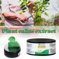 Grafting Sealant Gentle Newly Bonsai Pruning Cutting Paste. 