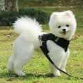 2023 Breathable Dog Accessories Mesh Nylon Durable Walking Dog Rope Pet Chest Strap Dog Traction Rope Dog Harness And Leash. 