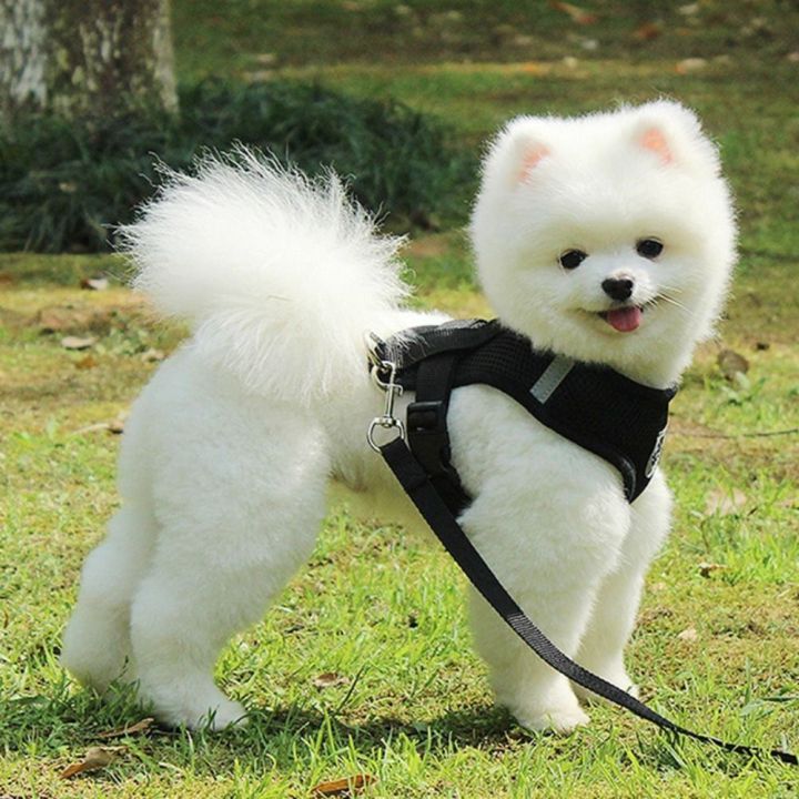 2023%20Breathable%20Dog%20Accessories%20Mesh%20Nylon%20Durable%20Walking%20Dog%20Rope%20Pet%20Chest%20Strap%20Dog%20Traction%20Rope%20Dog%20Harness%20And%20Leash%20-%20Image%206