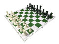 Tournament Standard Chess Board and Pieces in Sri Lanka | Best Chess Board price in Sri Lanka | Large Size. 