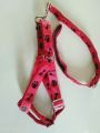 Dog  harness and leach/ 10 to 25kg weight  range.. 