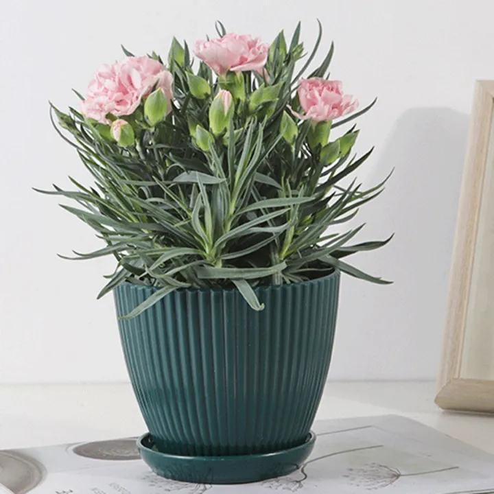 Plastic%20Planter%20Pots%20for%20Plants,%205%20Pack%206%20Inch%20Flower%20Pots%20with%20Drainage%20Holes%20and%20Saucers,%20for%20Indoor%20Outdoor%20D%20-%20Image%204