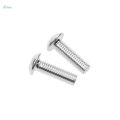 10pcs Auto Car Aluminum License Plate Frame Bolt Screws 16mmx5mm Silver. 