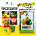 Hybrid Bell Pepper Polaris Seeds  දෙමුහුම් බෙල් පෙපර් බීජ 2.6g Home Gardening Agriculture. 