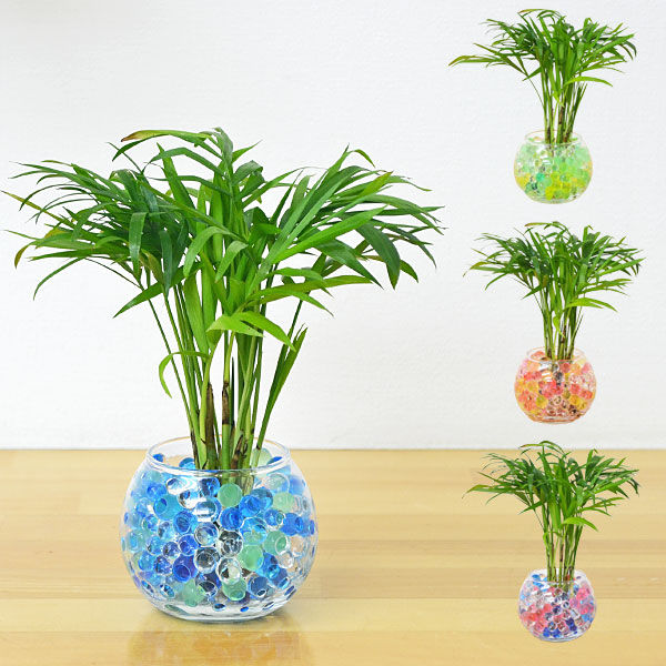 Crystal%20Water%20Gel%20Beads%20-%20Image%205