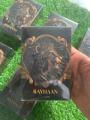 Rayhaan Lion 100ml EDP by Rayhaan. 