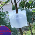 Rooting Case Box Reusable Transparent High Pressure Grafting Garden Graft Root Growing Box Tree Breeding Container. 