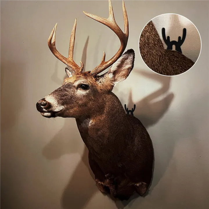 8%20Pack%20European%20Mount%20Skull%20Hanger%20Steel%20European%20Mount%20Skull%20Hanger%20Deer%20Skull%20Hanging%20Easy%20Installation%20for%20Living%20Room,%20Bedroom%20-%20Image%203