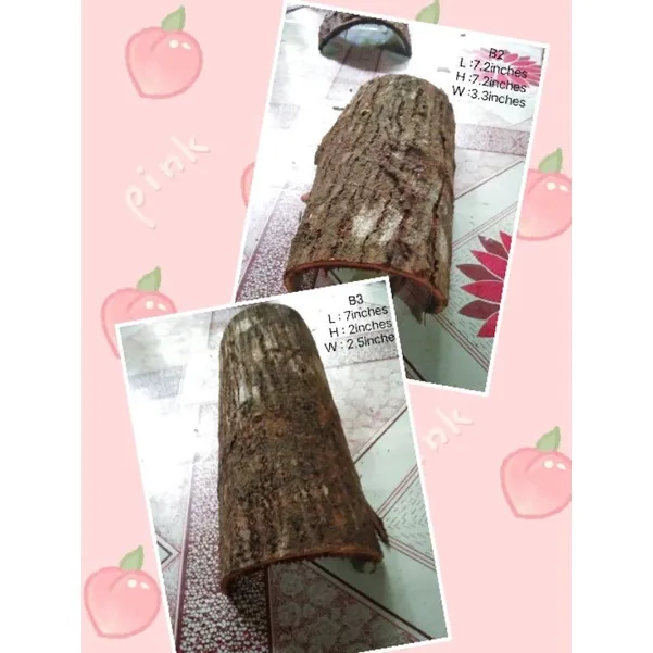 %E2%97%8FTarantula%20hide,%20Reptile%20etc..Balat%20ng%20Mahogany%20,dry%20Mahogany%20Bark%20-%20Image%205