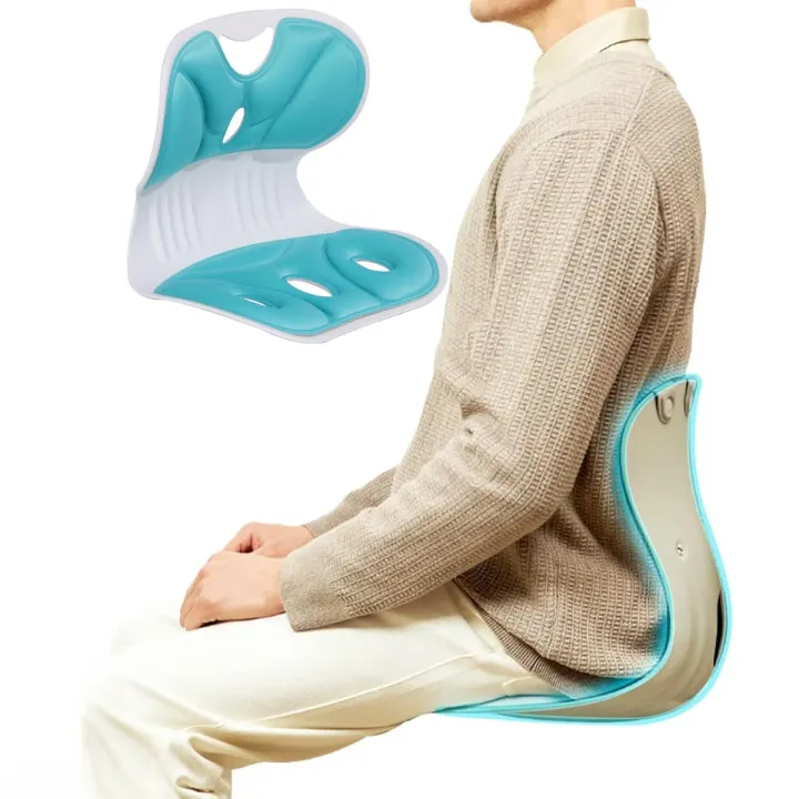 Ergonomic Back Support Chair, Back Support Office Chair- Lumbar Support ...