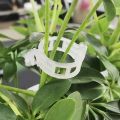 50Pcs Plastic Plant Clips Supports Connects Reusable Protection Grafting Fixing Tool Gardening Supplies for Vegetable Tomato. 