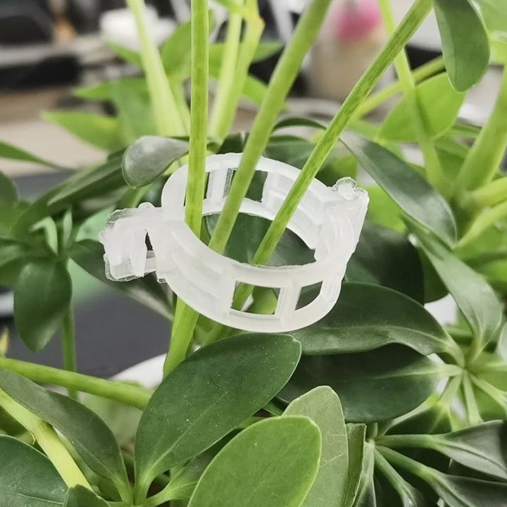 50Pcs%20Plastic%20Plant%20Clips%20Supports%20Connects%20Reusable%20Protection%20Grafting%20Fixing%20Tool%20Gardening%20Supplies%20for%20Vegetable%20Tomato%20-%20Image%203