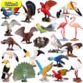 Classic Bird Animal Flamingos Parrot Sea Mew Owl Ostrich Model Solid Pvc Action Figures Miniature Education Kid. 