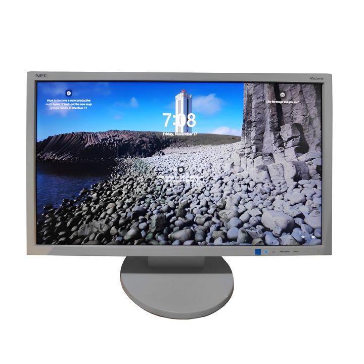 NEC LCD-AS223WMI 21.5-inch Wide IPS LCD Display 22