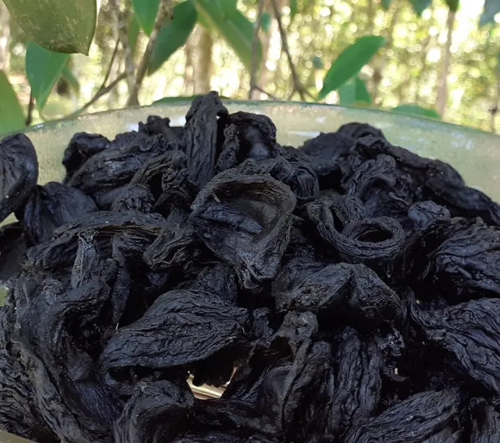 Dried%20GARCINIA%20CAMBOGIA%20Ceylon%20Natural%20Organic%20GORAKA%20Spices%20Brindle%20Berry%20Gummi%20-%20Image%202