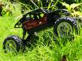Rechargeable High Performance Remote Control  4x4 Off Road Car. 