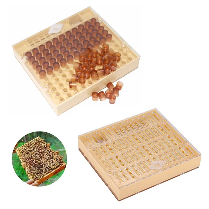 Queen Bee Queen Rearing Cultivating Box Kit 120Pcs Brown Raising Cups ...