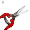 Garden Fruit Tree Branch Cutting Pruning Scissors Tool 20cm. 