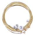 6Pcs/Set Universal Acoustic Guitar String Brass Hexagonal Steel Core Strings For Musical Instruments Guitars Strings Guitar Part. 