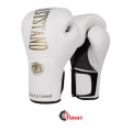 LASTSTAND boxing gloves / MMA / Muay thai / Martial arts. 