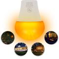 Yellow LEDs Bug Light Bulb No Blue Light Outdoor E26/27 9W Mosquito Repellent Light Bulb No UV 570-590nm Wavelength Night Light for Outdoor Indoor Energy Saving Light. 