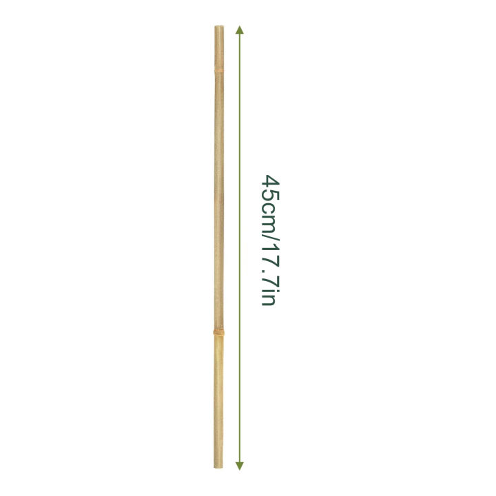 Bamboo%20Plant%20Stakes%2020%20Pcs%20Bamboo%20Plant%20Support%20Stakes%20for%20Orchid%20Tomato%20Vegetables%20Natural%20Bamboo%20Sticks%20for%20Climbing%20Plants%20Reusable%20Garden%20Poles%20Strong%20Garden%20Stakes%20-%20Image%204