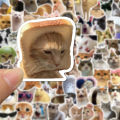 100PCS Cute Cat Meme Stickers - Viral Kitty Meme Doodle Decals For DIY Fun Layor. 