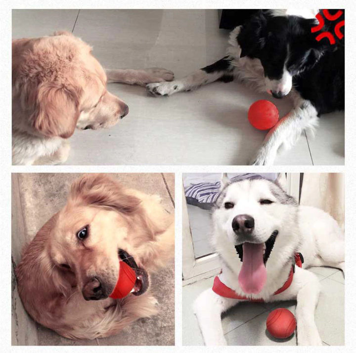 Extra%20Large%20Red%20Solid%20Ball%20Dog%20Toy%20Chew%20Hard%20Rubber%20Bite%20Resistant%20Ball%20for%20Fetch%20Play%20Ball%20Pet%20Puppy%20Dogs%20Teeth%20Rubber%20Balls%20Pets%20Dog%20Toys%20Dog%20Sell%20Dog%20Ball%20Floating%20Ball%20Play%20Ball%20Red%20Ball%20Hard%20Ball%20Pet%20Ball%20Solid%20Red%20Ball%20Chew%20Ball%20Bite%20Ball%20Fetch%20Ball%20-%20Image%202