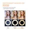 Studio Selfie Ring Light Tripod 10 Inch Big Ring Fill Light with 7 Feet Portable Tripod Stand for Photo Studio  Lightning and Video Shooting Suitable for All Mobile & Camera / LED Studio Camera Ring Light for YouTube, Instagram, TikTok & Other Videos. 